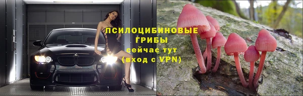 спиды Надым