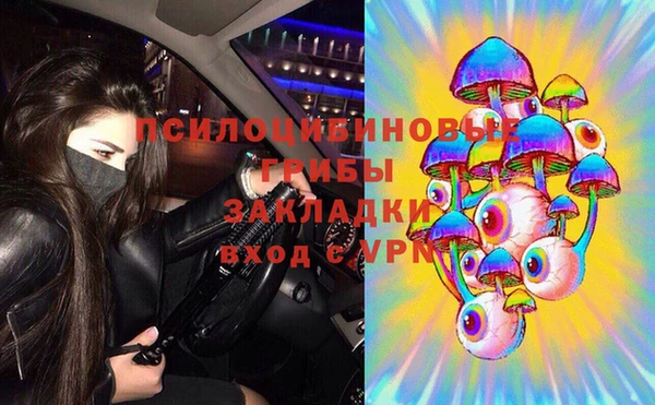 ГАЛЛЮЦИНОГЕННЫЕ ГРИБЫ Наволоки