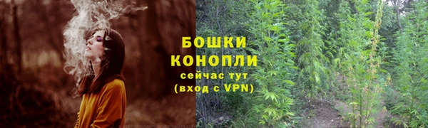 спиды Надым