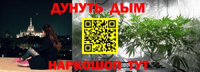 сатива Апшеронск