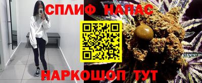 сатива Апшеронск