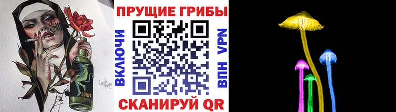 mega зеркало  Всеволожск  Псилоцибиновые грибы Psilocybe 
