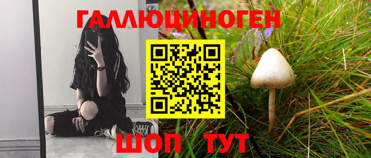 Псилоцибиновые грибы мицелий  Галлюциногенные грибы мицелий  где купить наркоту  Всеволожск 